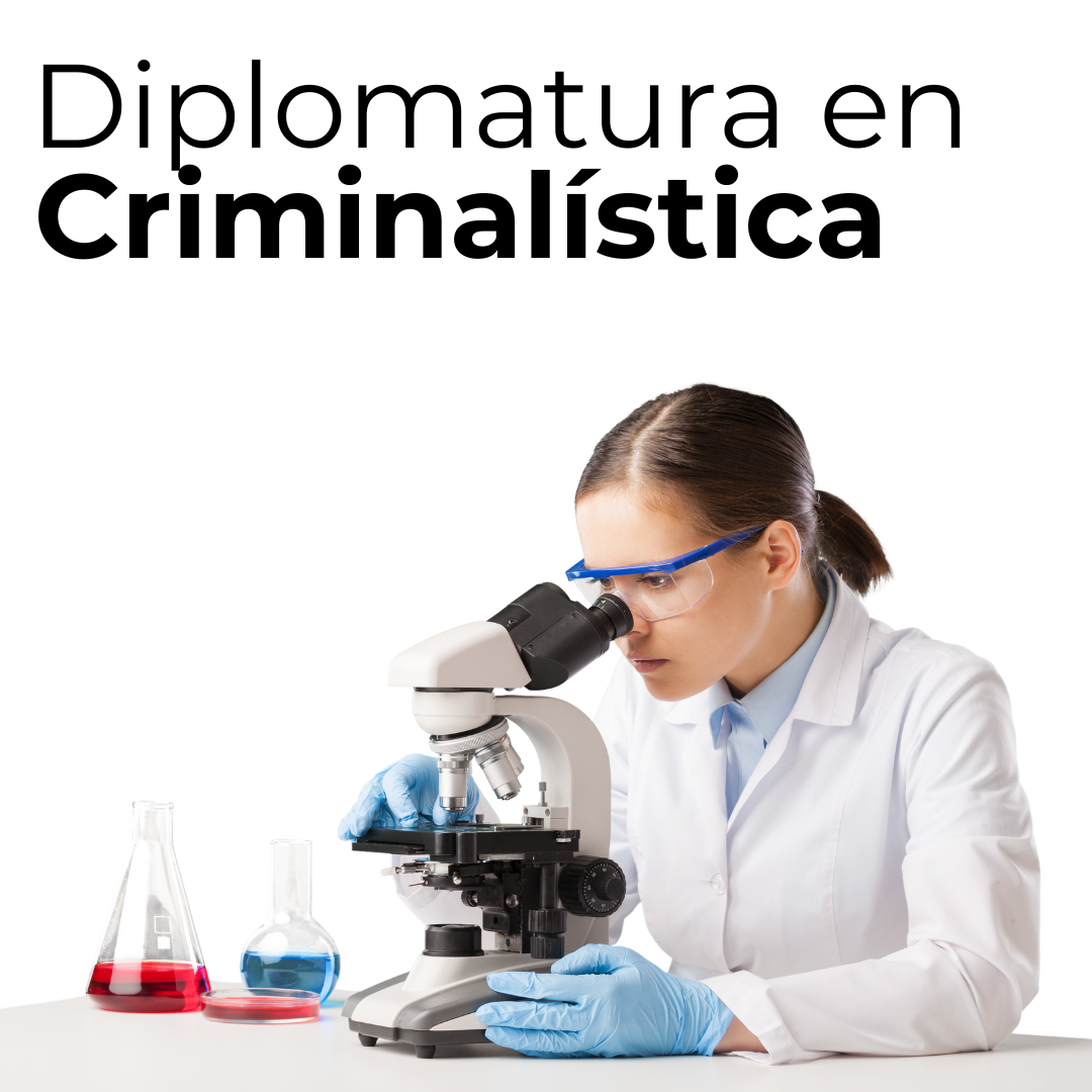 Instituto%20de%20capacitación%20para%20el%20desarrollo%20profesional